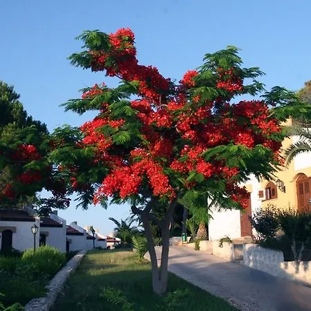 Acapulco